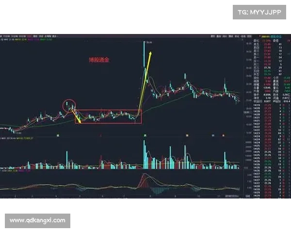 体育赛事盘口庄家