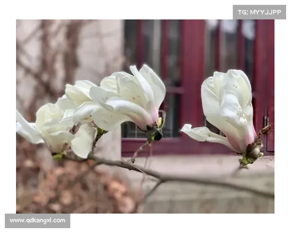 激情绽放二零一八乌克兰基辅欧洲冠军联赛国际足球盛事难忘之夜